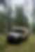 Vehicle parked in the forest